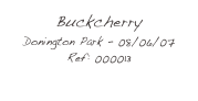 Buckcherry
Donington Park - 08/06/07
Ref: 000013