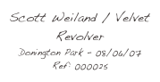 Scott Weiland / Velvet Revolver
Donington Park - 08/06/07
Ref: 000025