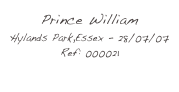 Prince William
Hylands Park,Essex - 28/07/07
Ref: 000021